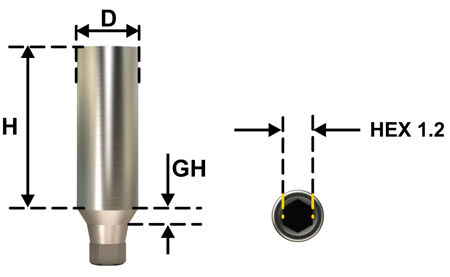 Universal Abutment